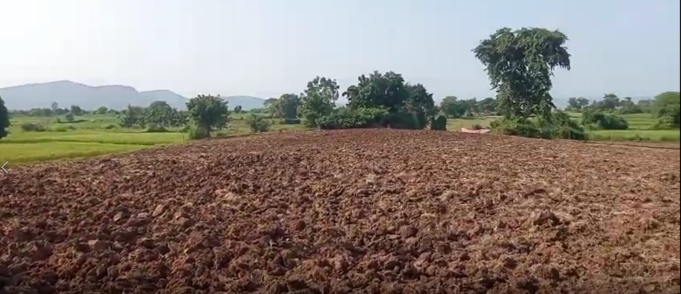 1.5 Acres of Agricultural Land